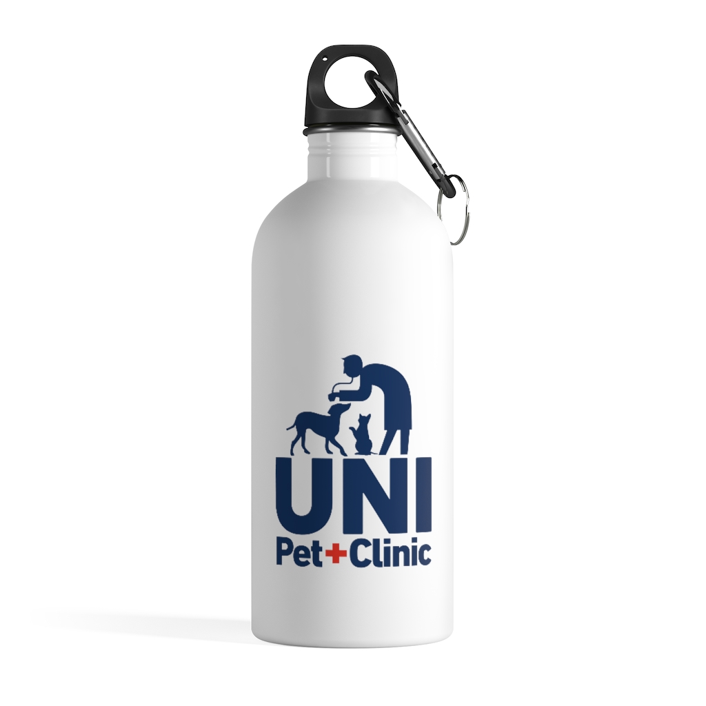 Stainless Steel Water Bottle